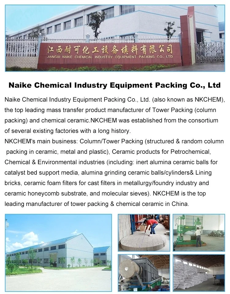 Nax Molecular Sieve Moisture CO2 Adsorber for Psa Oxygen Concentrator in Aquaculture